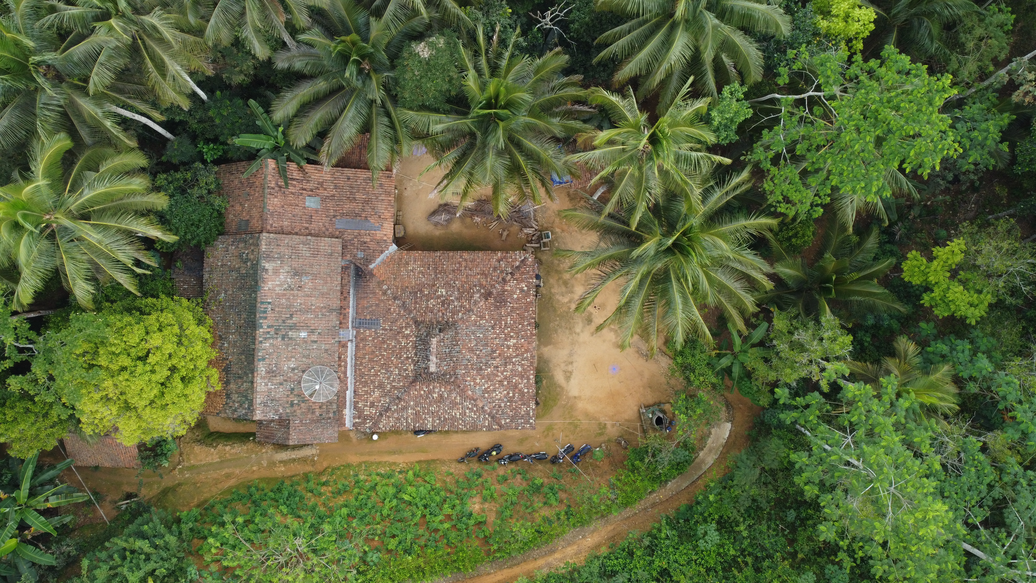 Indonesia Coconut Sugar Factory