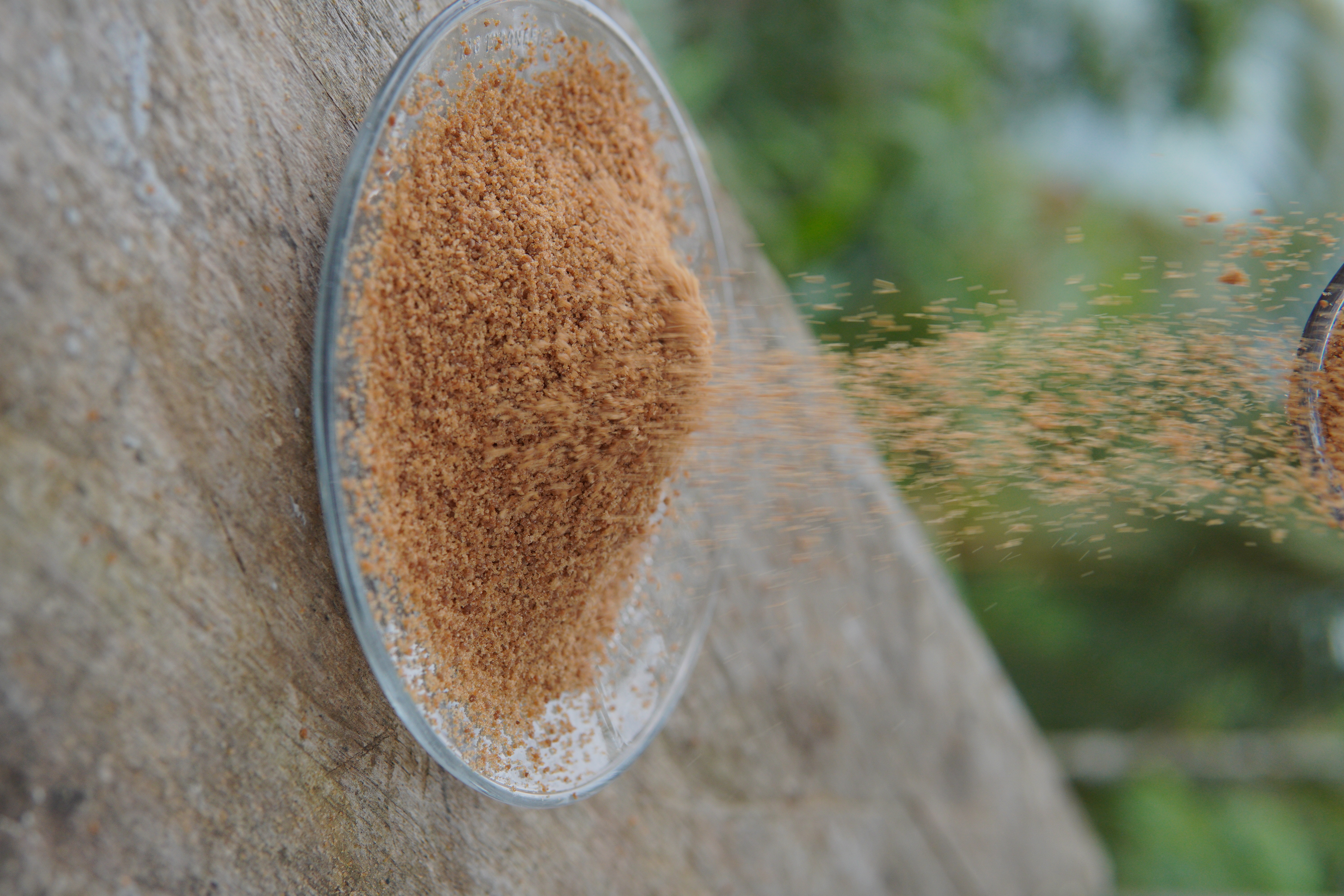 Coconut Sugar Powder